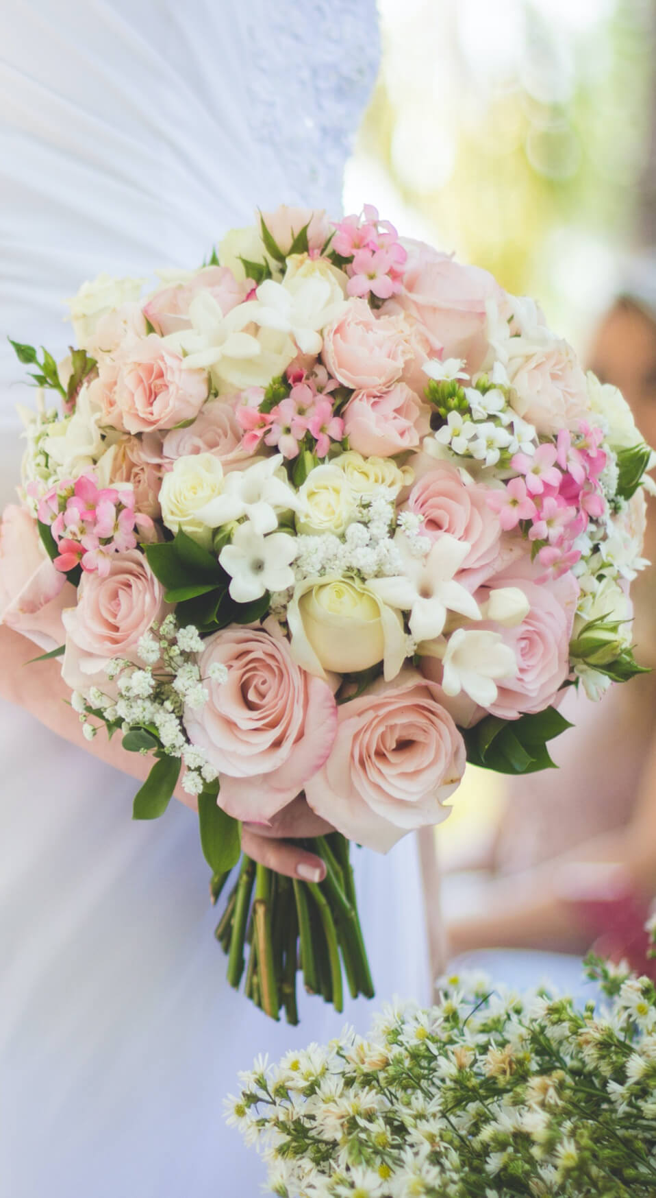 Read more about the article Flower1