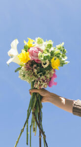 Read more about the article Flower8