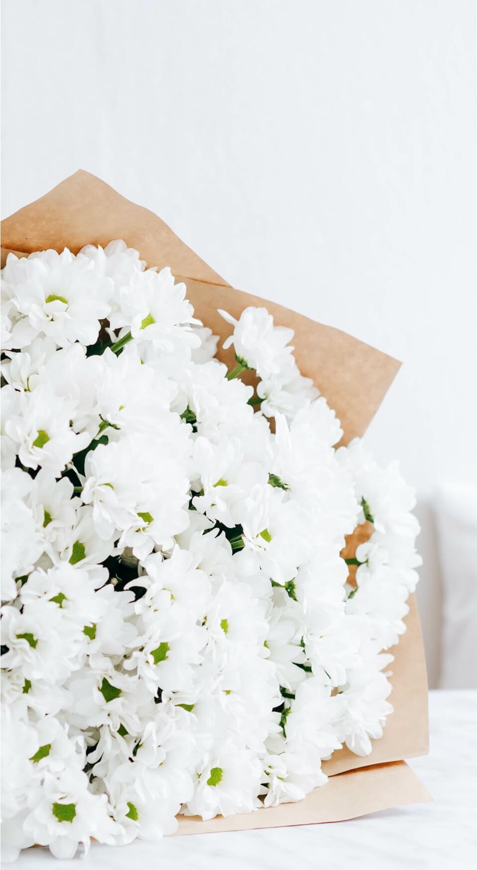 Read more about the article white lily funeral