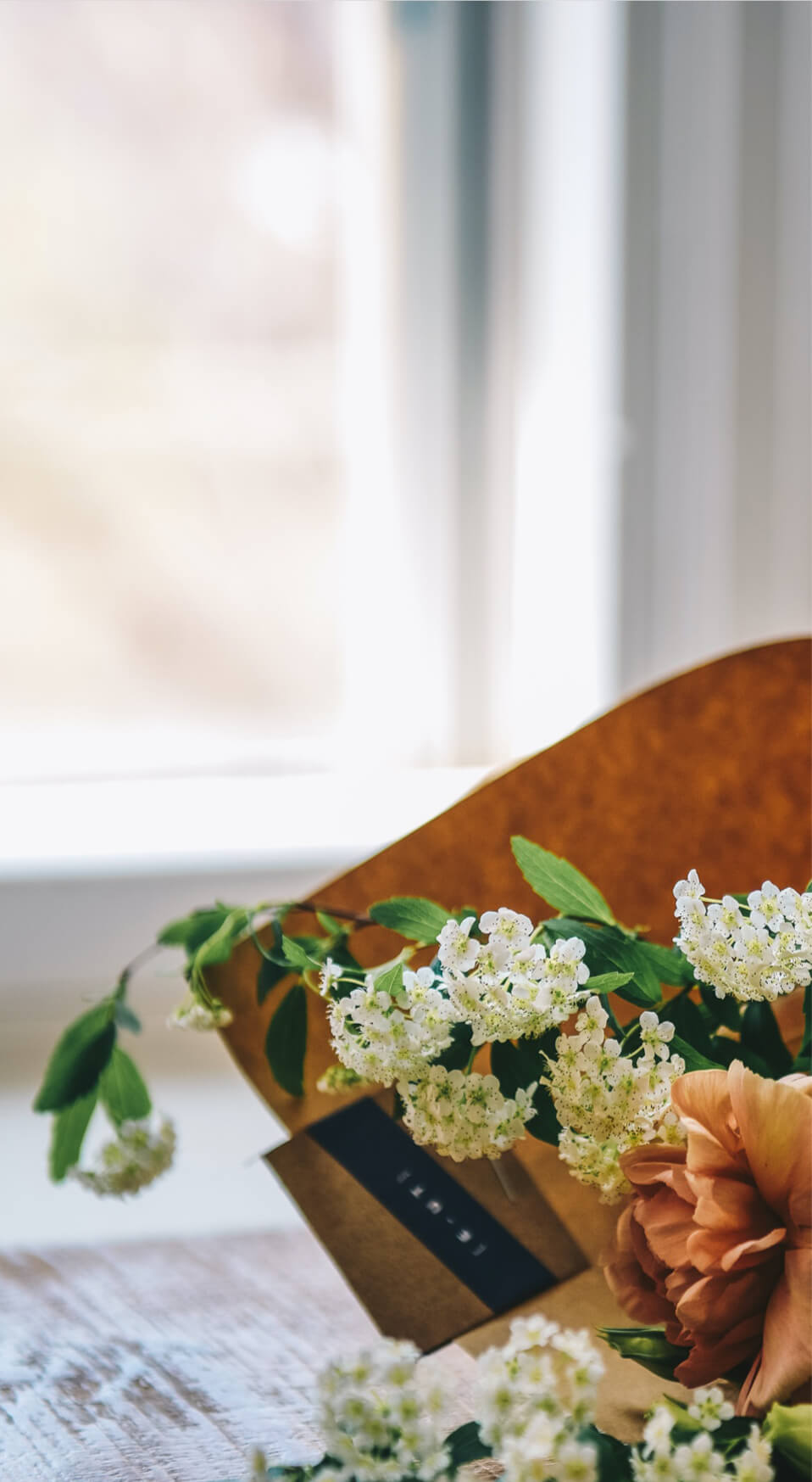 Read more about the article Flower11