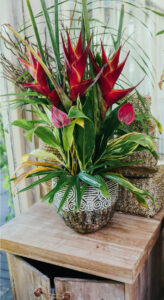 Read more about the article plant7