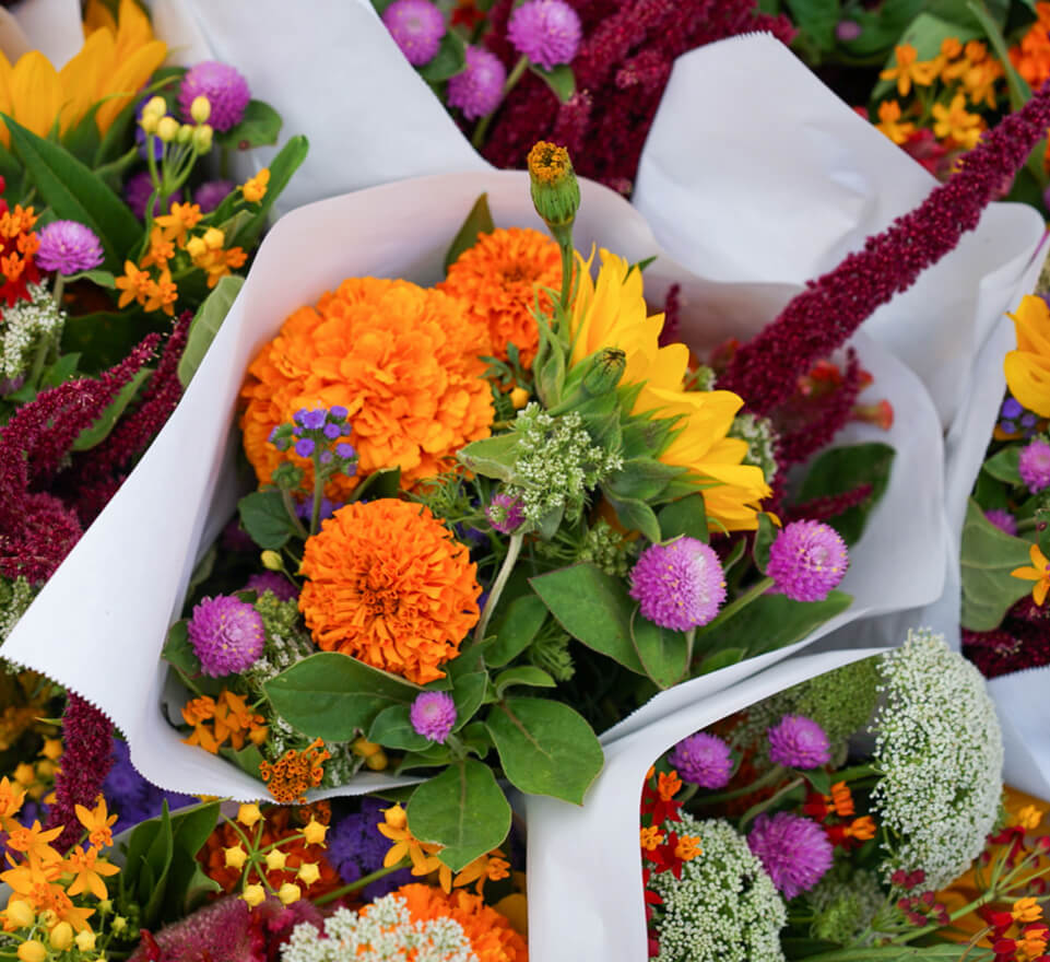 You are currently viewing The Perfect Bouquet