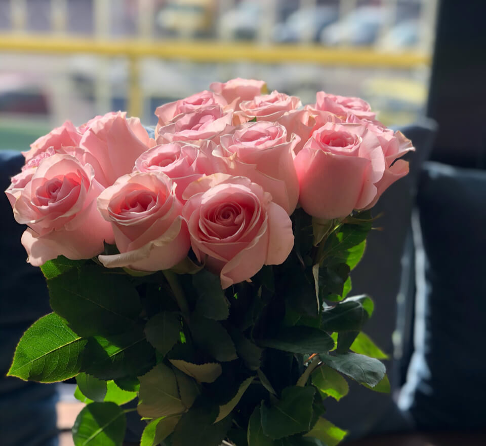 You are currently viewing Flowers That Last Longer